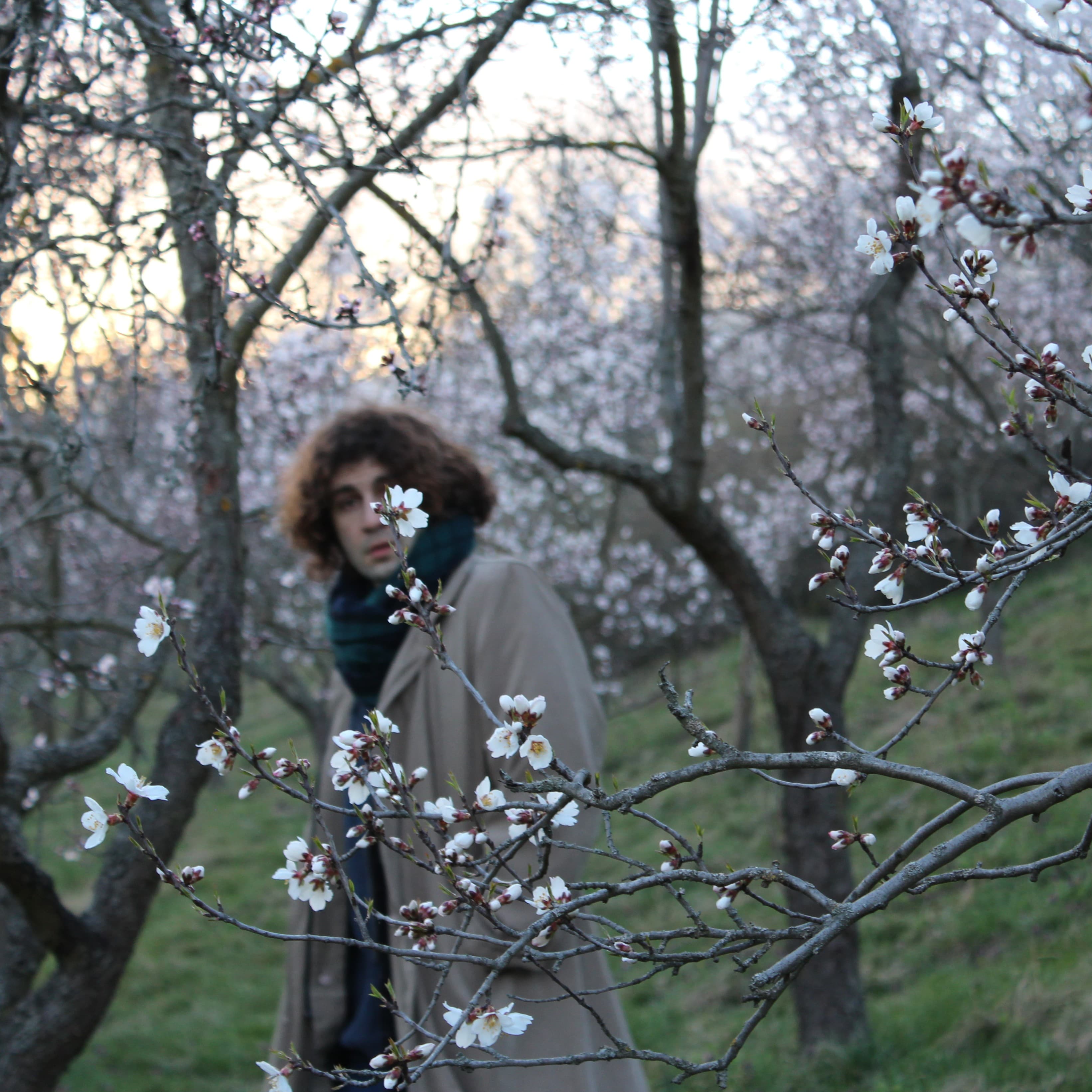 Cover art for 'Yūgen' by Sam Hall